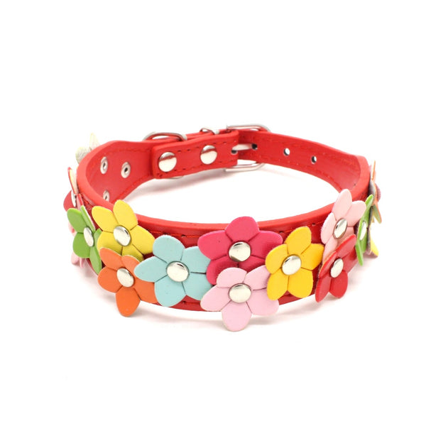 Double Row Flower Pet Collar and Leash
