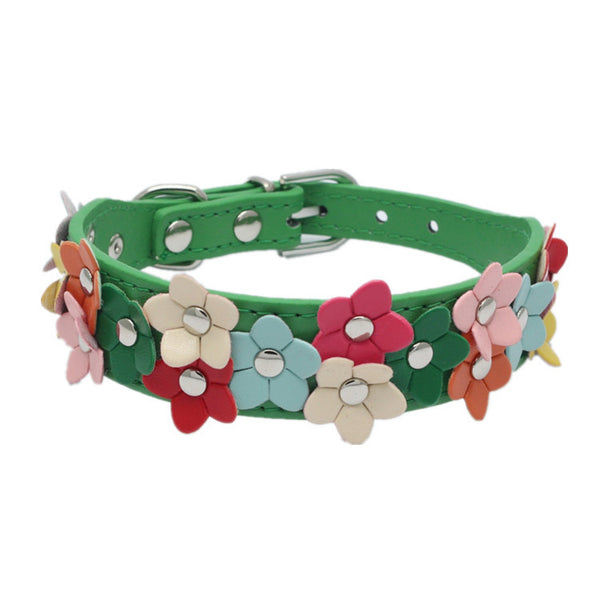 Double Row Flower Pet Collar and Leash