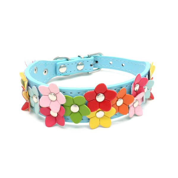 Double Row Flower Pet Collar and Leash