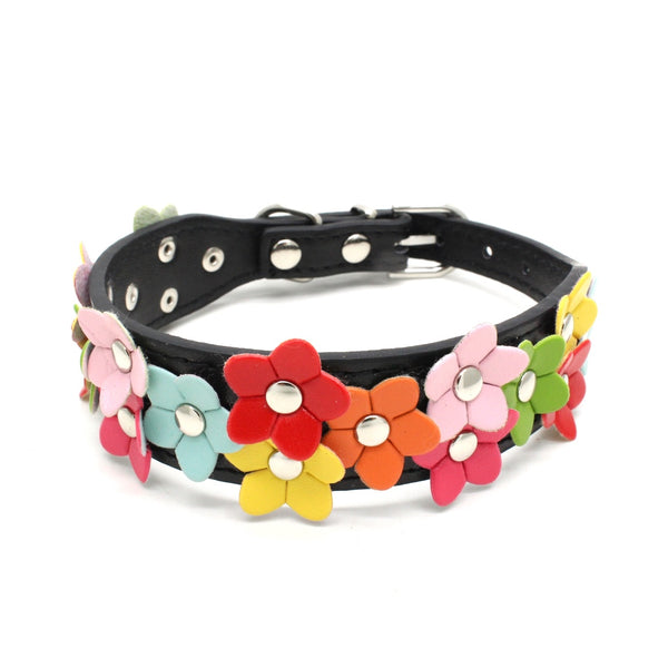 Double Row Flower Pet Collar and Leash