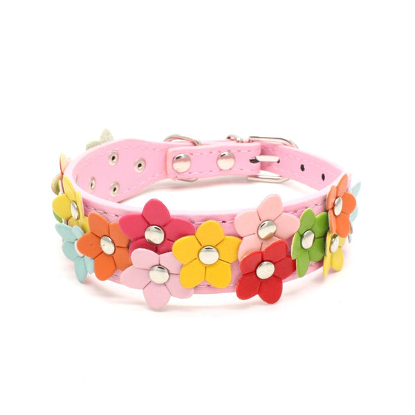 Double Row Flower Pet Collar and Leash