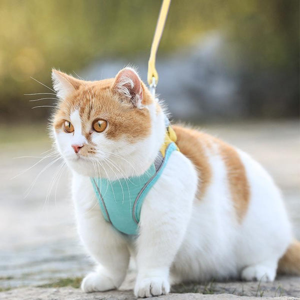 Cat Vest-Style Chest Harness Anti-Choke Cats Walking Rope