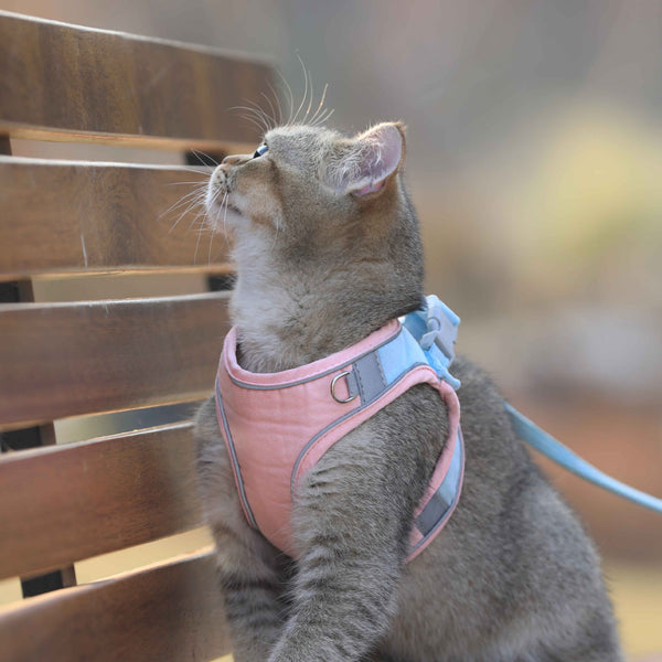 Cat Vest-Style Chest Harness Anti-Choke Cats Walking Rope