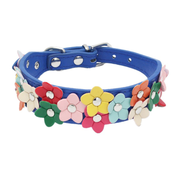 Double Row Flower Pet Collar and Leash