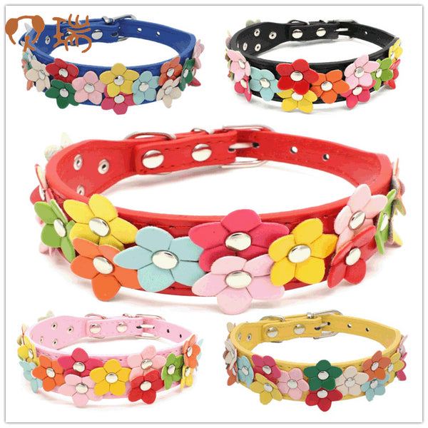 Double Row Flower Pet Collar and Leash