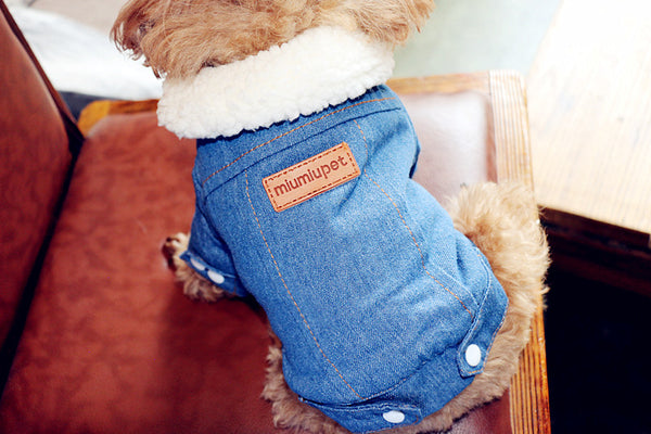Winter Jeans Jacket for Small Dogs