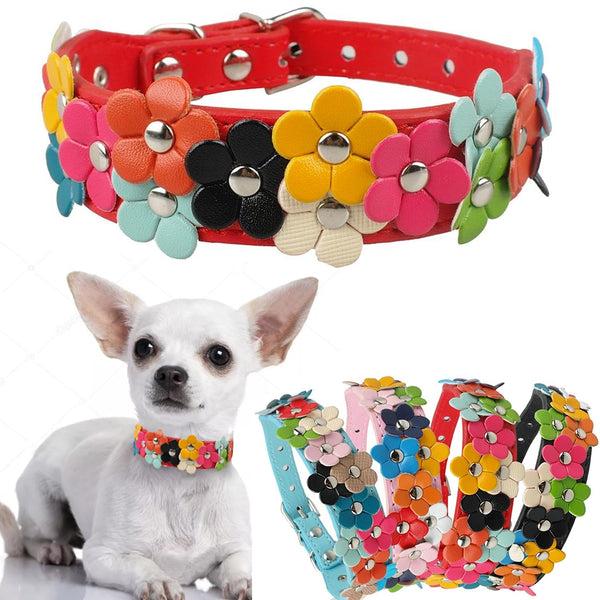 Double Row Flower Pet Collar and Leash