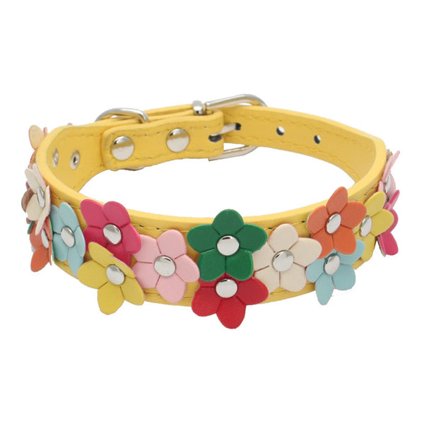 Double Row Flower Pet Collar and Leash