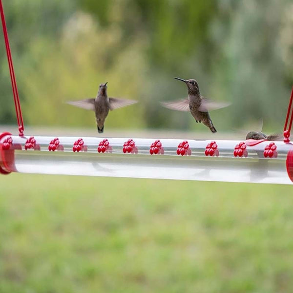 Hanging Garden Hummingbird Feeder Watering Tube
