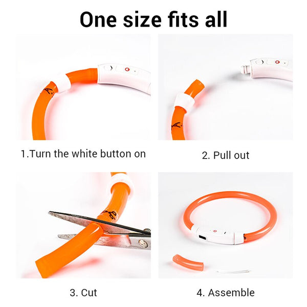 LED Light Up USB Rechargeable Dog Collars, Luminous Night Collar - 8 Color