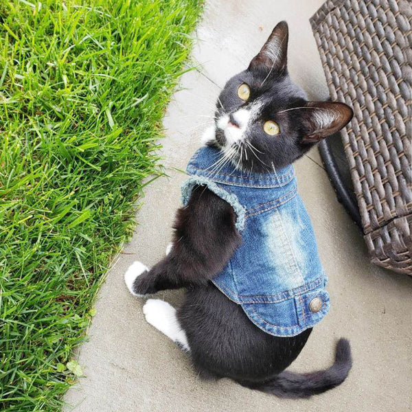 Denim Vest Clothes for Cats Casual Jeans Outfit Costume