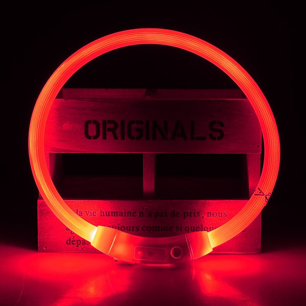 LED Light Up USB Rechargeable Dog Collars, Luminous Night Collar - 8 Color