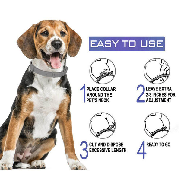 8 Month Flea Tick Collar for Dogs & Cats Adjustable Long-term Protection