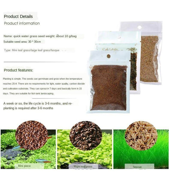 Aquarium Plant Seeds Landscaping Aquatic Plants 10g