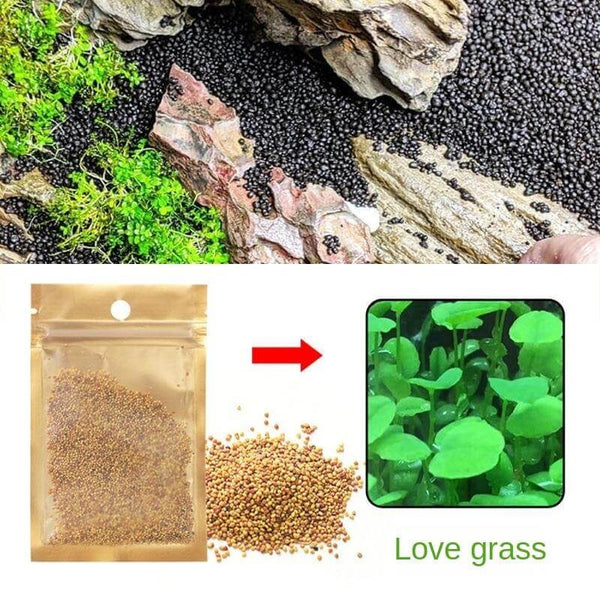 Aquarium Plant Seeds Landscaping Aquatic Plants 10g