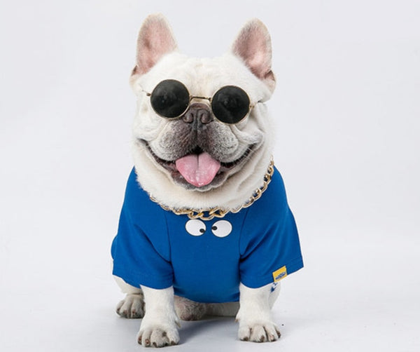 Oval Sunglasses For Dogs Pet Photo Prop Accessories Glasses