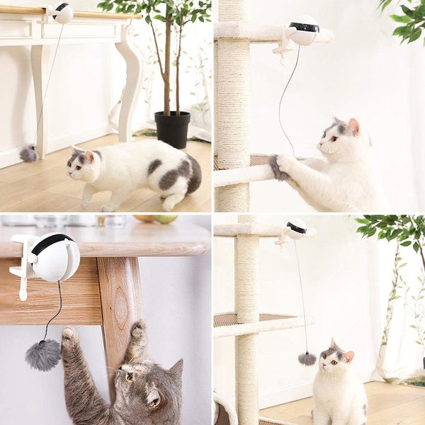Interactive Cat Ball Toy Electric Automatic Lifting Teaser Toys for Kittens