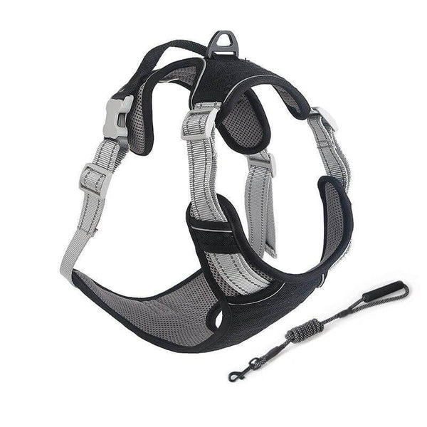 Breathable Mesh Dog Harness Reflective Pet Vest Harnesses with Leash