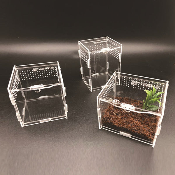 Transparent Acrylic Reptile Breeding Box Various Sizes
