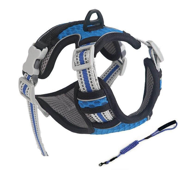 Breathable Mesh Dog Harness Reflective Pet Vest Harnesses with Leash