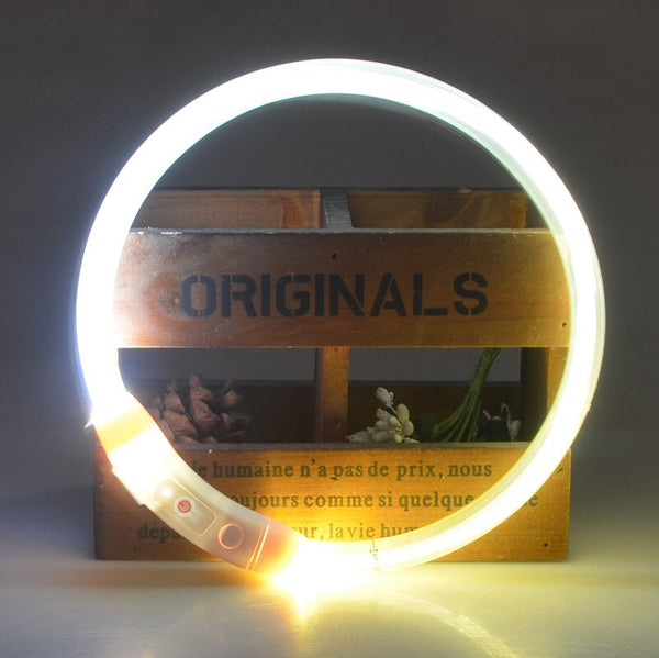 LED Light Up USB Rechargeable Dog Collars, Luminous Night Collar - 8 Color