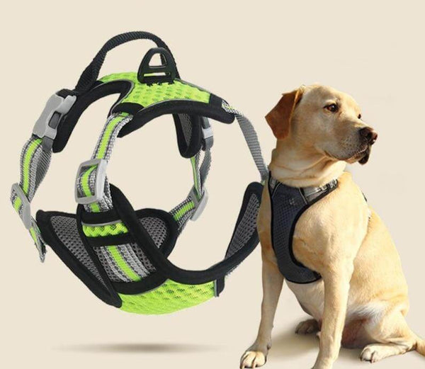 Breathable Mesh Dog Harness Reflective Pet Vest Harnesses with Leash