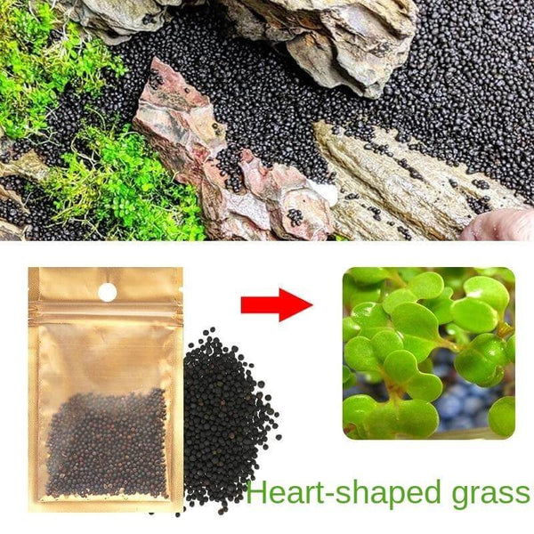 Aquarium Plant Seeds Landscaping Aquatic Plants 10g