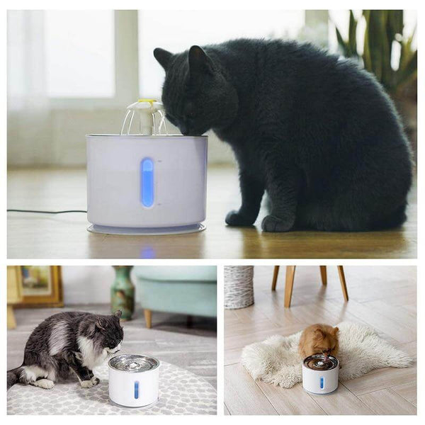 Automatic Water Fountain Pet Drinking Bowl with Active Carbon Filter, USB Powered