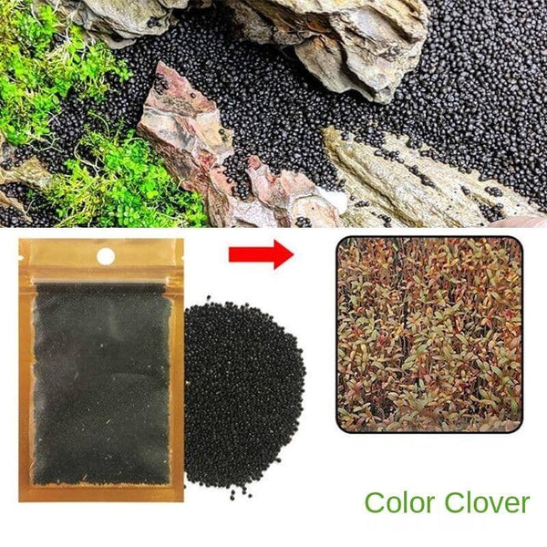 Aquarium Plant Seeds Landscaping Aquatic Plants 10g