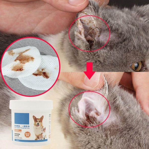 130 Piece / Box Pets Cleaning Wet Wipes, Paper Towels