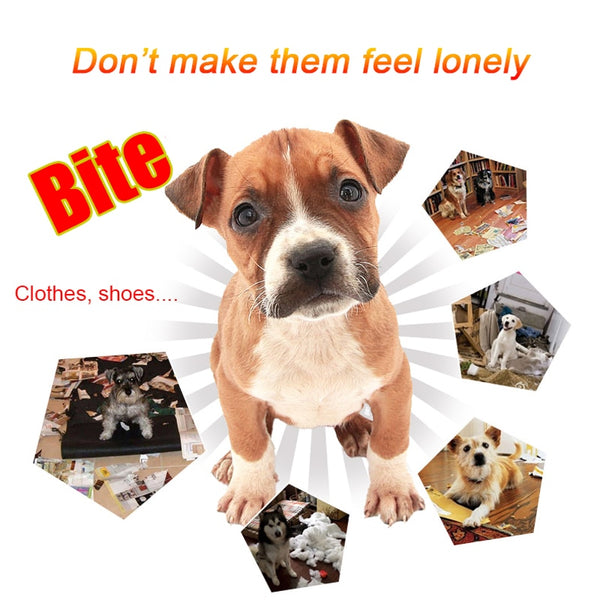 Rubber Treat Ball Toys for Dog, Puppy Tooth Cleaning Snack Ball