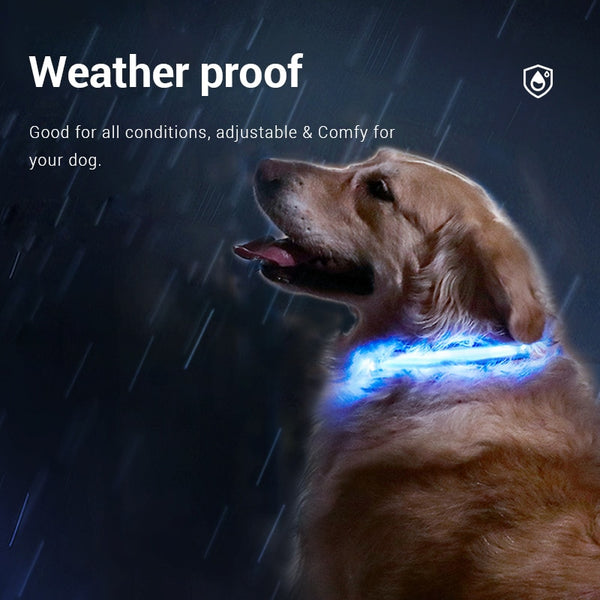 LED Light Up USB Rechargeable Dog Collars, Luminous Night Collar - 8 Color