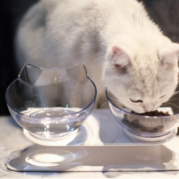 Cat Head Shaped Feeding Bowl with Raised Stand for Food and Water