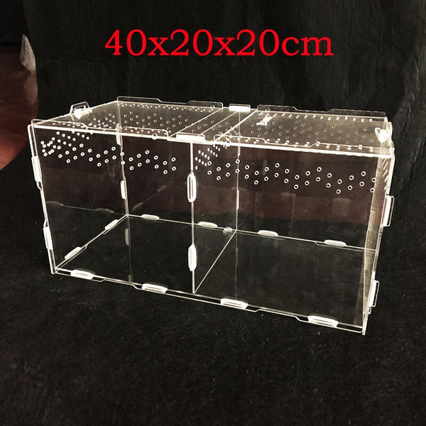Transparent Acrylic Reptile Breeding Box Various Sizes
