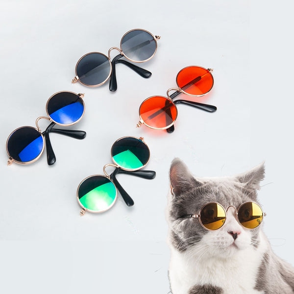 Oval Sunglasses Photo Prop Eyewear Only for the Coolest Cats