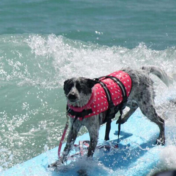 Dog Life Vest Summer Printed Pet Safety Jacket Swimwear