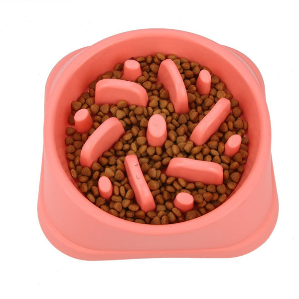 Portable Pet Feeding Bowls Slow Down Eating Food Dishes - in Various Shapes and Colors