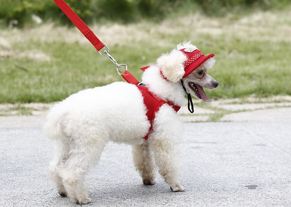 Funny Summer Dog Hat, Pets Princess Cap, Breathable Mesh