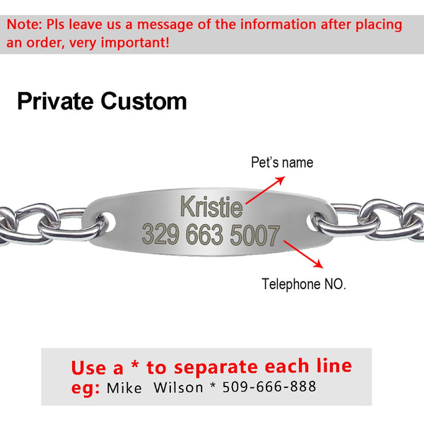 Personalized Dog Chain Collar with Custom Engraved ID Pendant