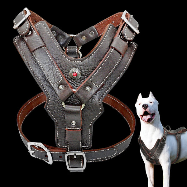 Genuine Leather Gladiator Vest Harness with Quick Control Handle for Large Dogs