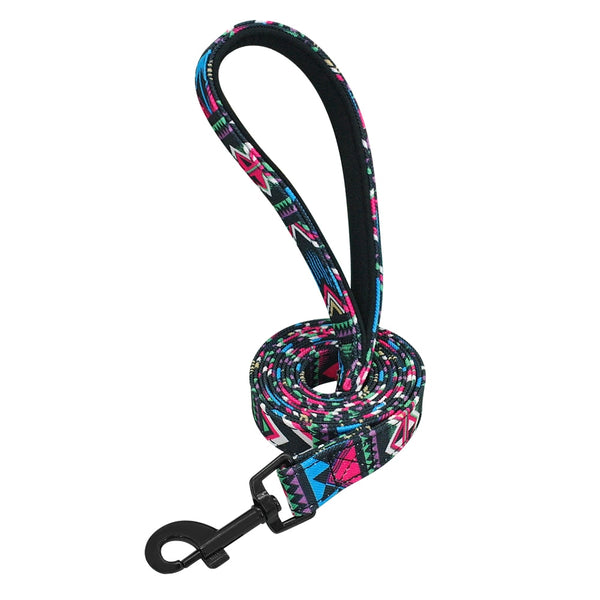 Colorful Pattern Design Printed Nylon Dog Leash - 4ft/1.2m