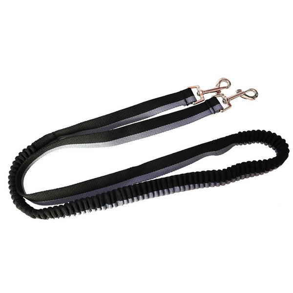 Safety Dog Leashes Pet Leads Walking, Training Elastic Rope for Dogs
