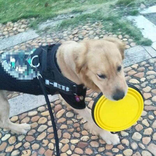 350/1000ml Large Collapsible Folding Silicone Bowl Outdoor Travel Portable Food Water Container Feeder Dish for Pets