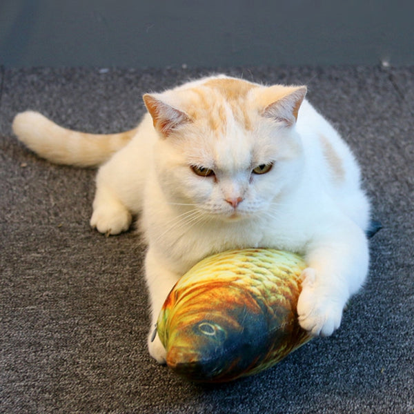 Plush Catnip Mint Stuffed 30-60cm Big Fish Shape Cat Toys