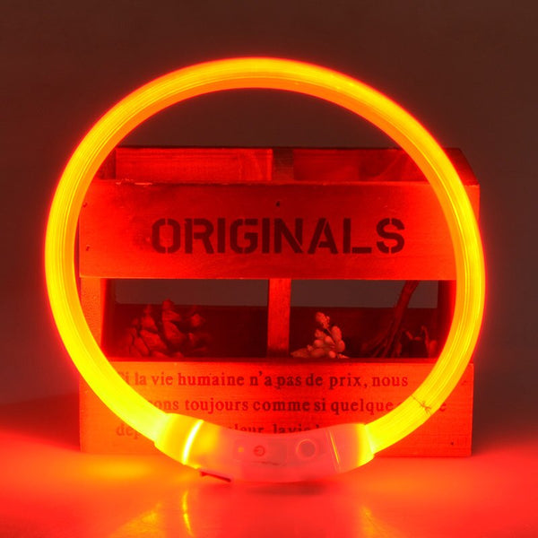 LED Light Up USB Rechargeable Dog Collars, Luminous Night Collar - 8 Color
