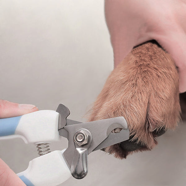 Professional Stainless Steel Pet Nail Clippers Pet Grooming, Cleaning Supplies