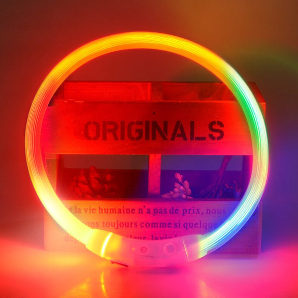 LED Light Up USB Rechargeable Dog Collars, Luminous Night Collar - 8 Color