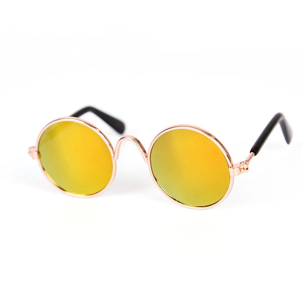 Oval Sunglasses Photo Prop Eyewear Only for the Coolest Cats