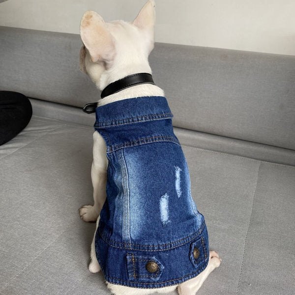 Denim Vest Clothes for Cats Casual Jeans Outfit Costume