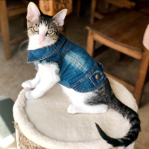 Denim Vest Clothes for Cats Casual Jeans Outfit Costume